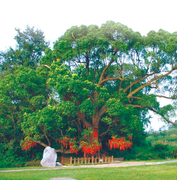 景点美图